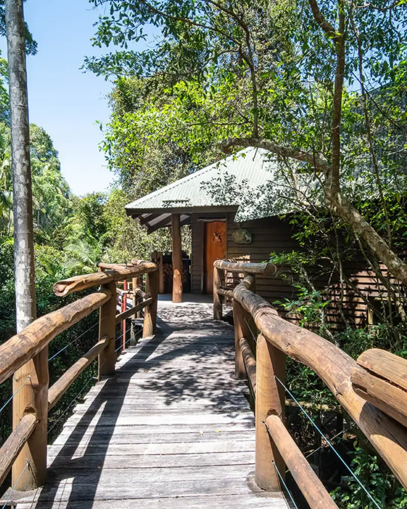A spa bath in a treehouse with windows over the lake
