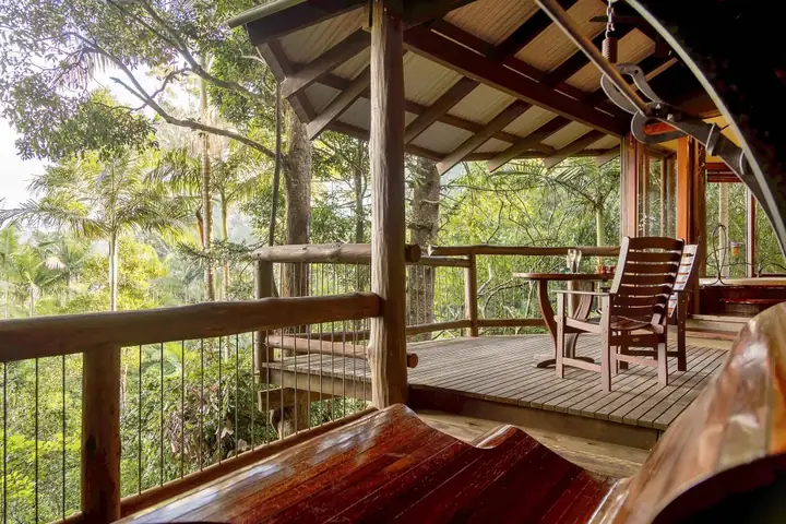 The deck of Lizards Lair, high in the rainforest
