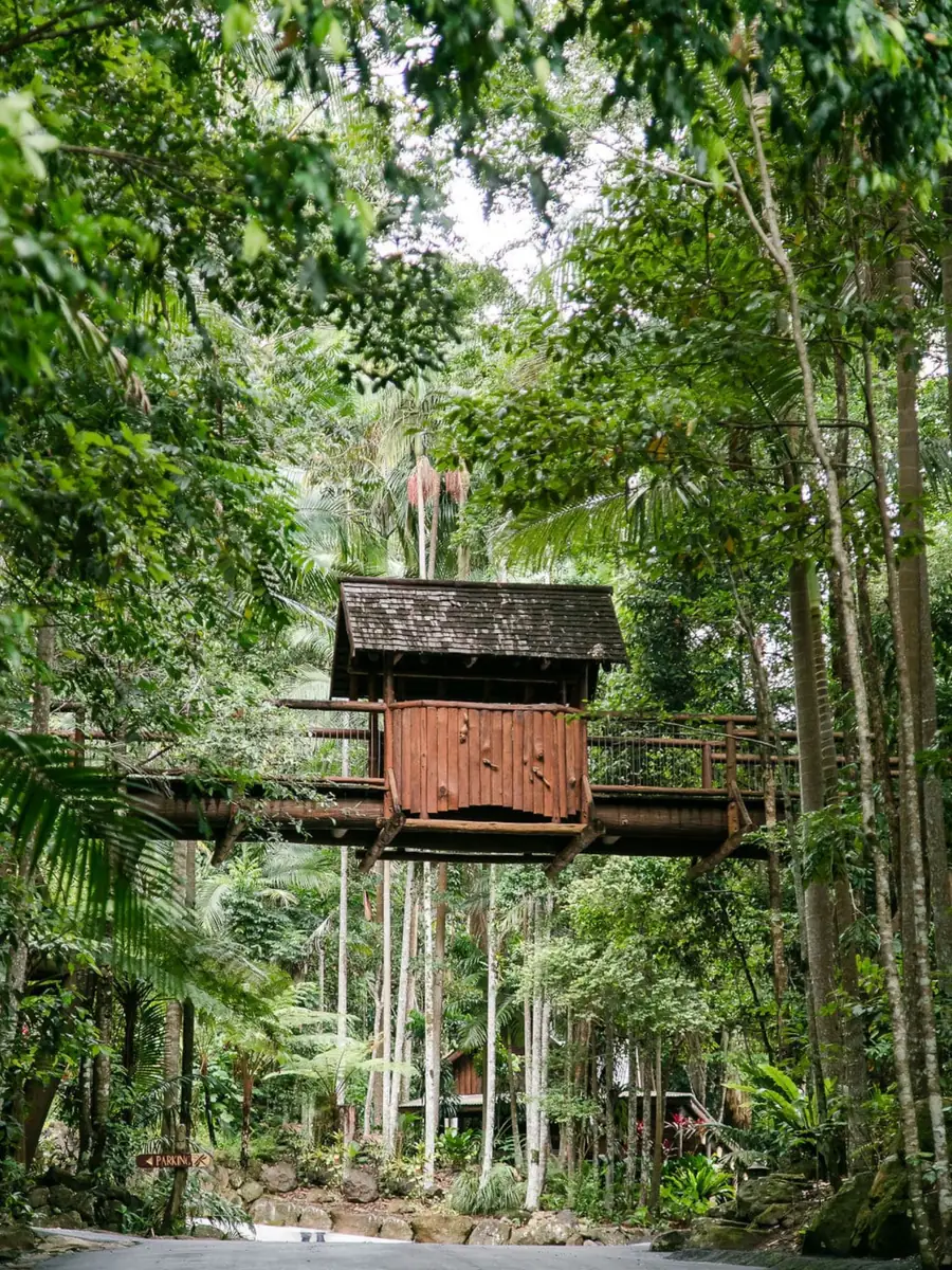 A timber treehouse raised on stilts among rainforest trees at Secrets on the Lake